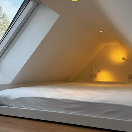 Lejlighed City-apartment In Bester Lage Münster