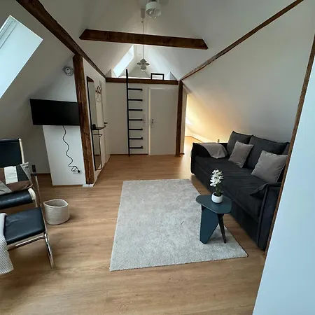 City-apartment In Bester Lage Munster (North Rhine-Westphalia)