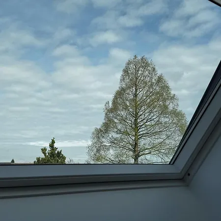 Apartment City-apartment In Bester Lage