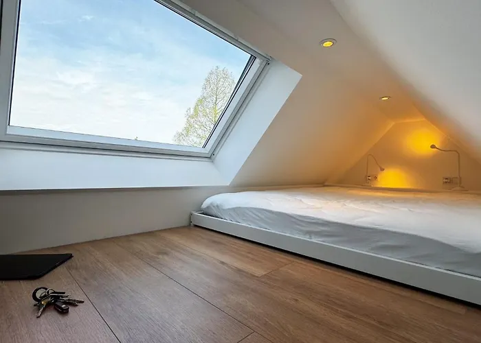 Apartment City-apartment In Bester Lage