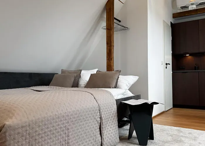 Apartment City-apartment In Bester Lage Munster (North Rhine-Westphalia)